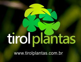 Tirol Plantas